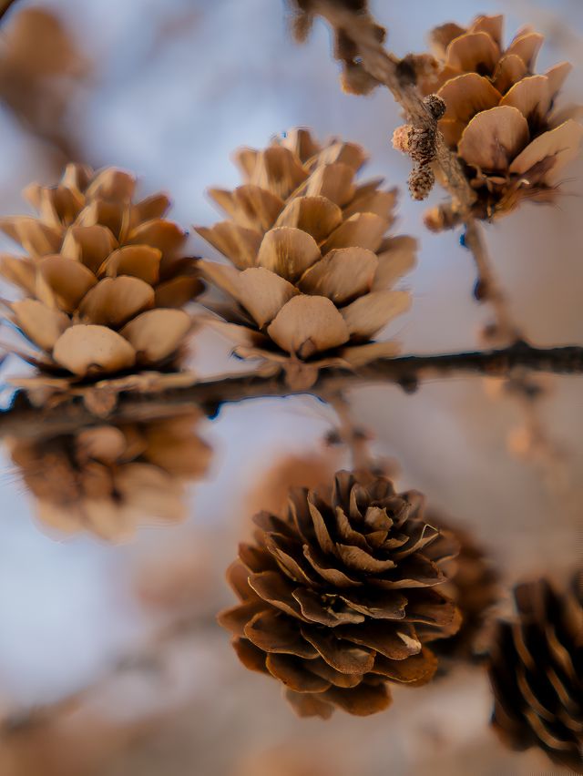 初春崇禮三樑｜又遇風雪交加的山野體驗