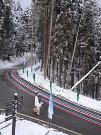 冬日的快樂怎麼能少得了看雪