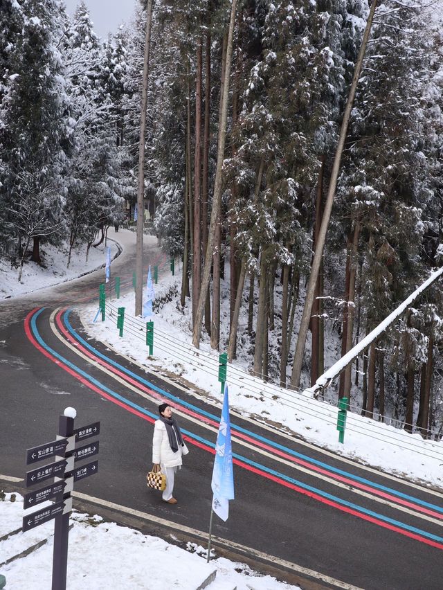 冬日的快樂怎麼能少得了看雪