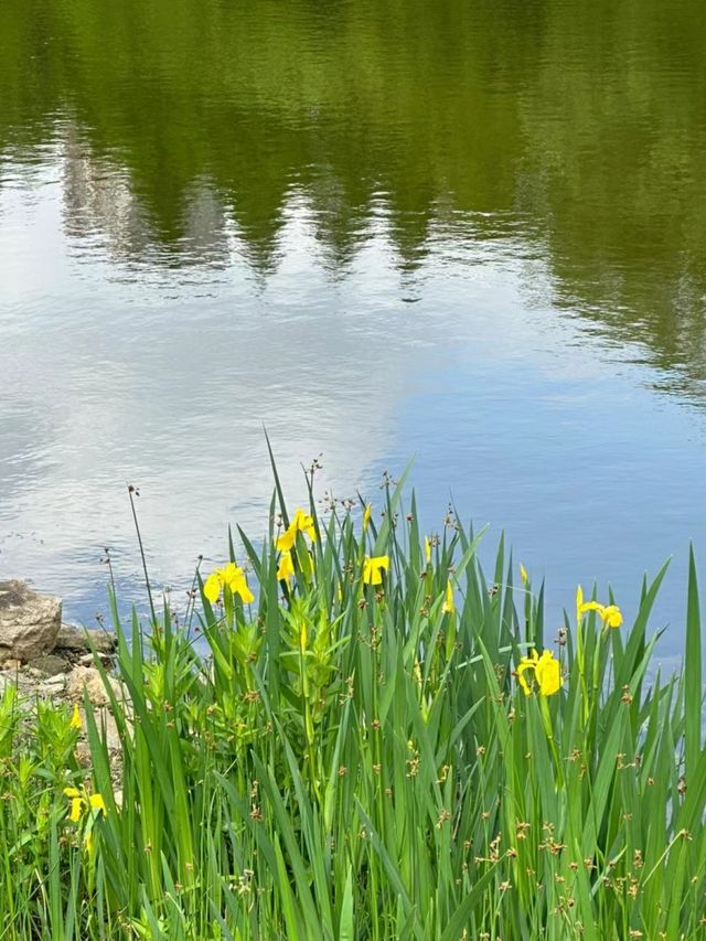 觀山湖公園真的太好逛了!!