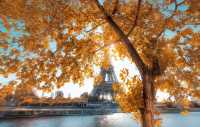 Golden Paris Moments