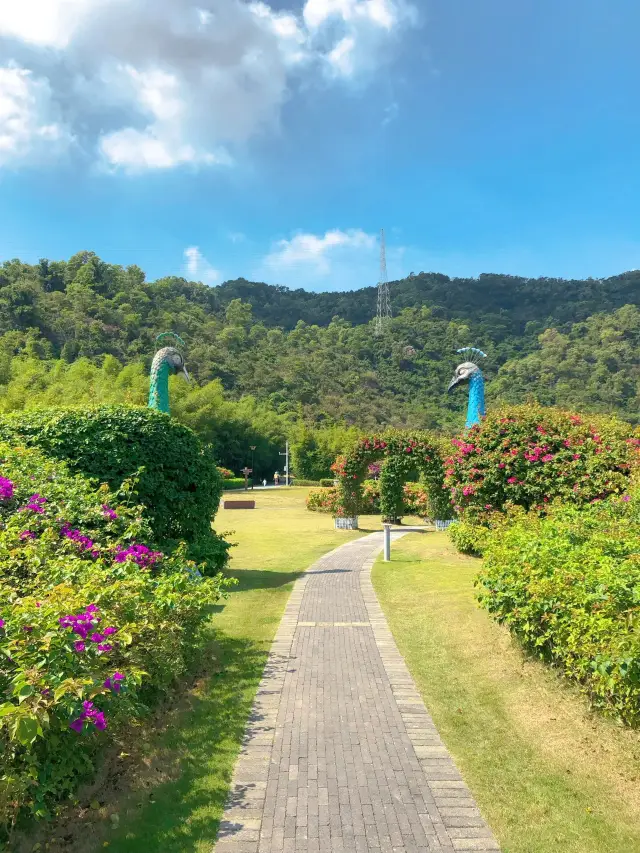 Shenzhen Leigong Valley Park | A secluded valley paradise