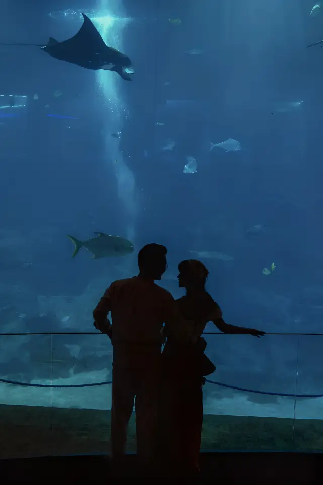 Singapore's ultra-romantic Underwater World! Includes a couple's photo-taking guide