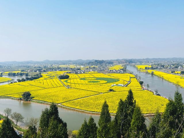 重慶潼南｜遠山近水都是油菜花