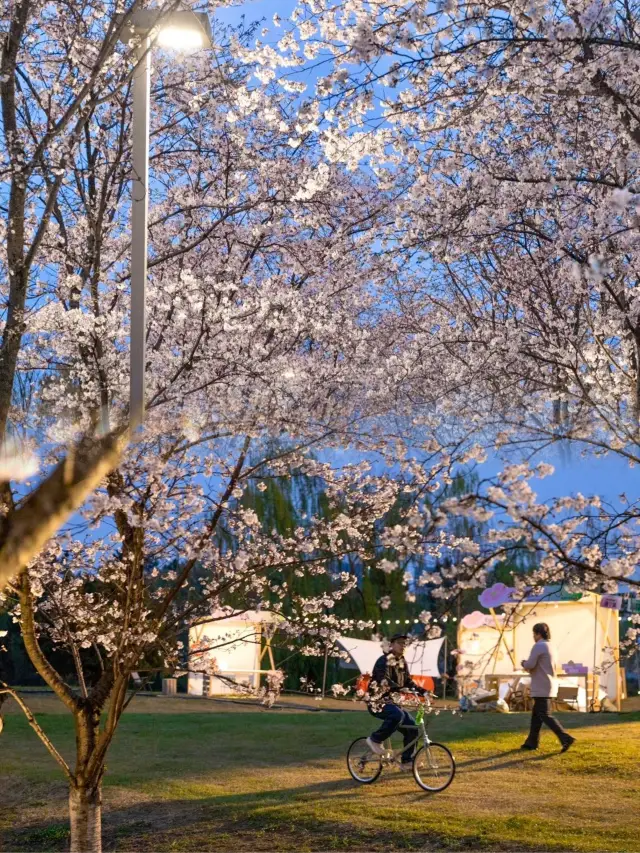 杭州18個の花見スポットと花見のタイムテーブルをご確認ください～