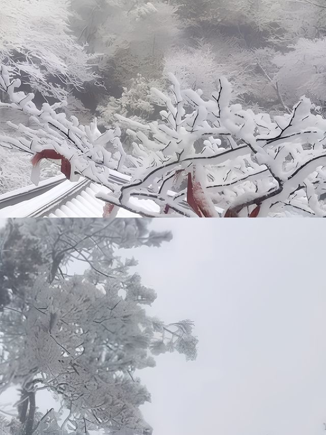 江西明月山泡溫泉怎麼選哪家好