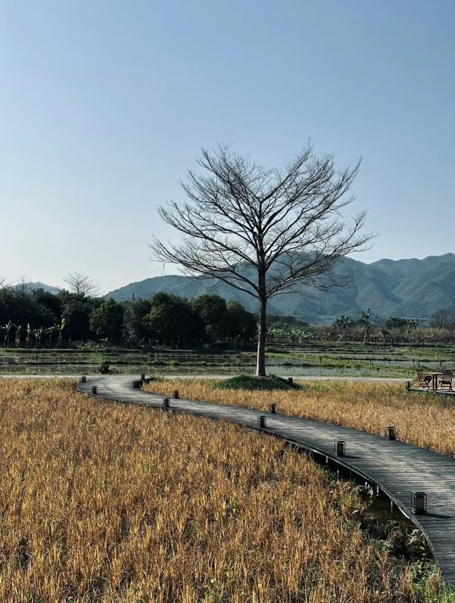 清遠|現實版歸園田居真後悔沒早點發現！