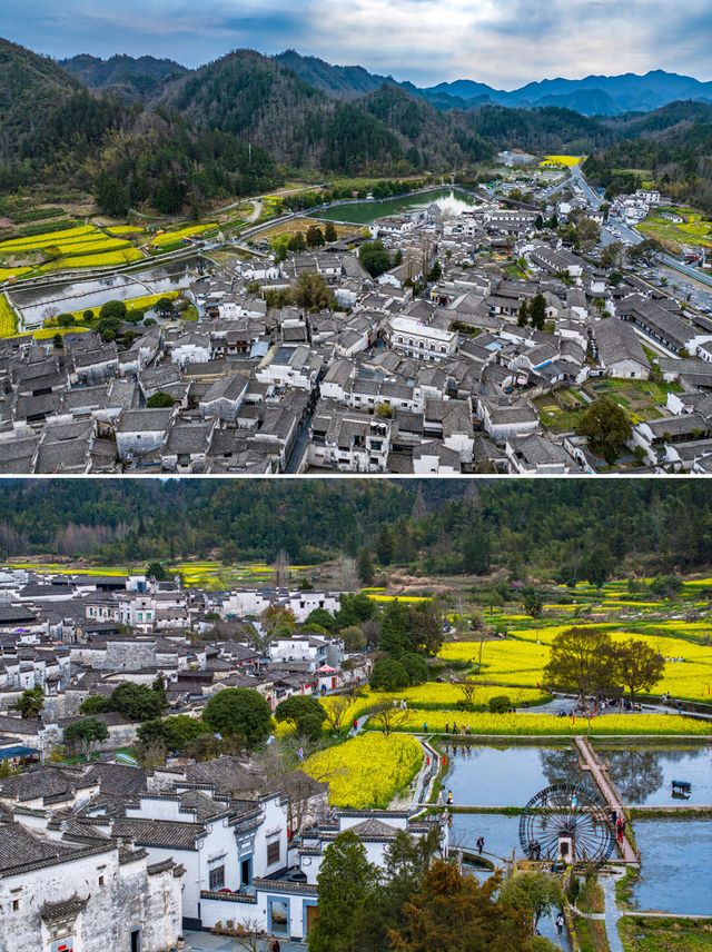 春日西递賞花｜宛如文人墨客描繪的避世仙境