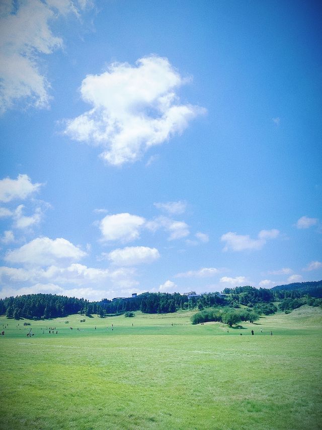 一年四季都可去的——仙女山