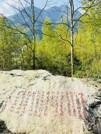 明月山上竹海裡的咏月碑林