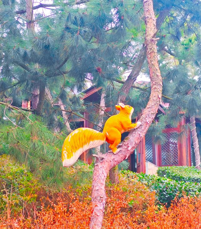 拍照好看的 | 天沐温泉度假村