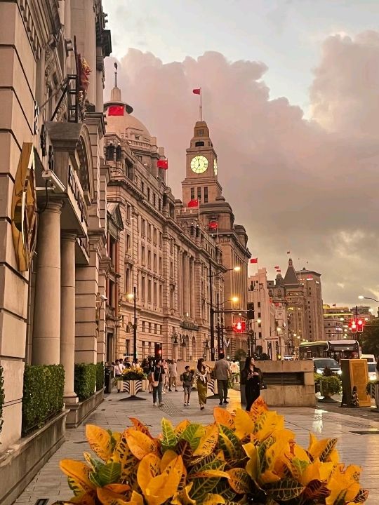 Romantic Tulips at The Bund in Shanghai😍