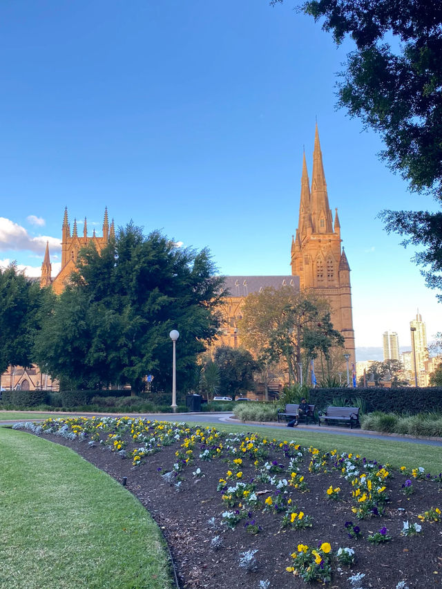 Hyde park Sydney 🇦🇺