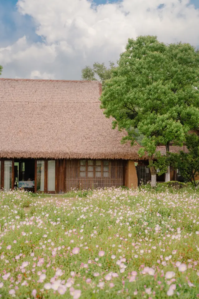 The early summer beauty of Liangzhu in Hangzhou is absolutely stunning, akin to the idyllic countryside depicted in comics.