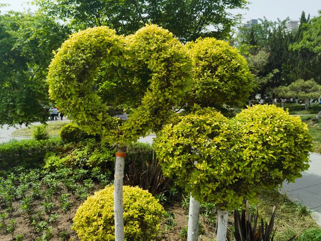 興慶宮公園