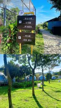 距離深圳1小時~人均19!!近距離餵動物玩水~親子遊玩