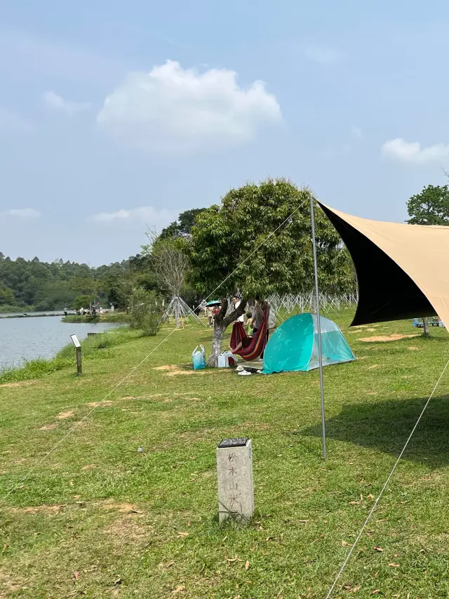 Shenzhen Songshan Lake | Family Camping Guide