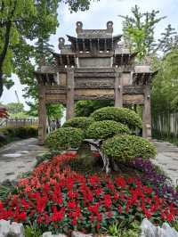 淺緣紫藤花——遊古藤園
