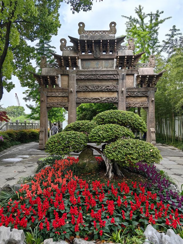 淺緣紫藤花——遊古藤園