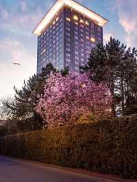 🌟 Amsterdam's Chic Sleeps: Hotel Okura's Luxe Experience 🌟