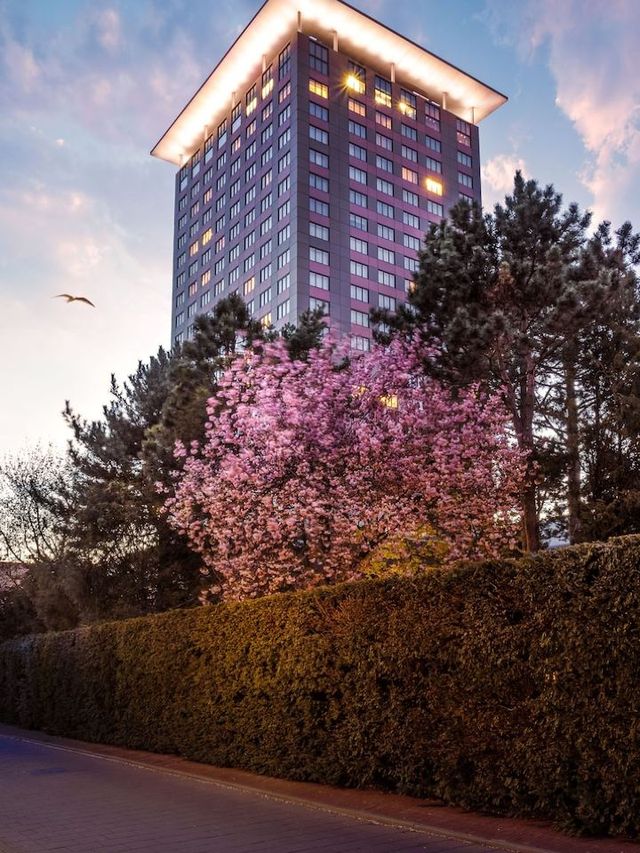 🌟 Amsterdam's Chic Sleeps: Hotel Okura's Luxe Experience 🌟