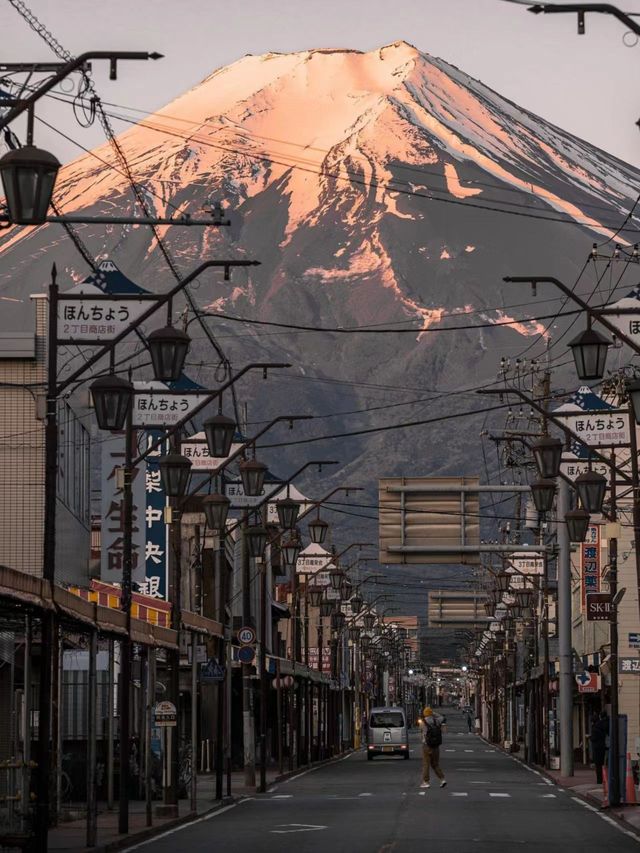 日本包車旅遊去古都+東京+富士山玩7天。