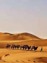 腾格里沙漠沙坡头美拍。