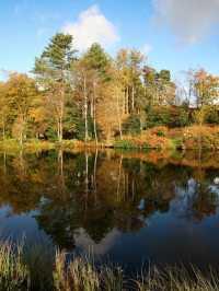 🌟 Lakeside Luxury: Linthwaite House Hotel ✨