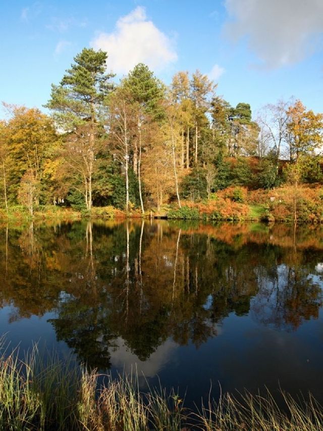 🌟 Lakeside Luxury: Linthwaite House Hotel ✨