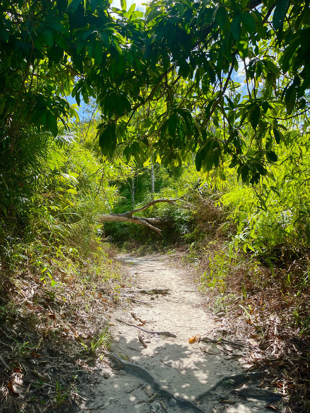 Pamuayan Waterfall - Port Barton 