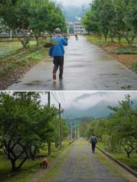杭州梅雨季的仙境在桐庐｜天青色等烟雨，我在梅蓉村等你