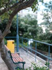 香港新晉網紅打卡地，訊號山花園漫步很chill
