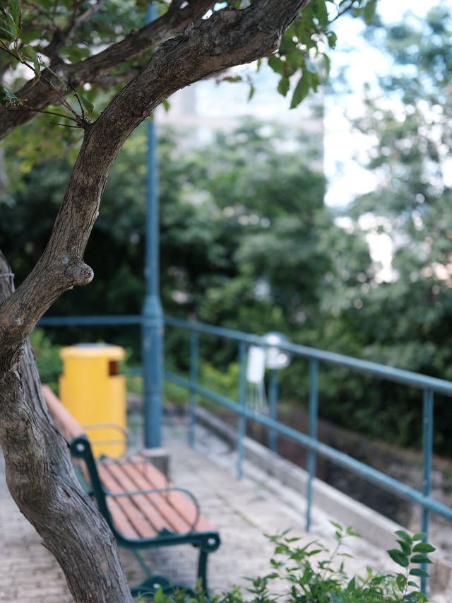 香港新晉網紅打卡地，訊號山花園漫步很chill