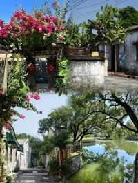 珠海｜300年歷史的嶺南古村，適合Citywalk
