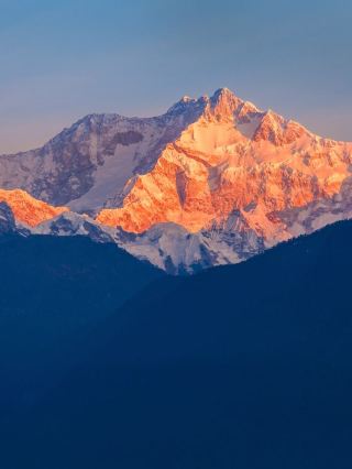 錫利古里寧靜住宿：舒適庭院