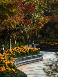 🌟 Qingdao Getaway: Luxe Gardens & Family Fun! 🏰🌳📸