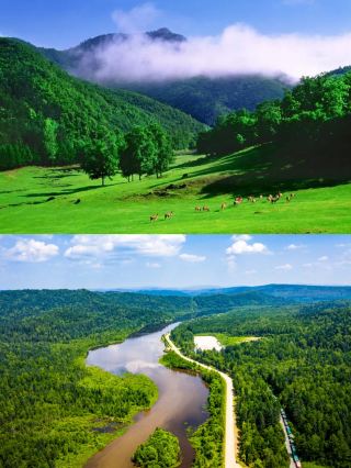 Yichun Small Trip, A Perfect Encounter of Nature and Culture