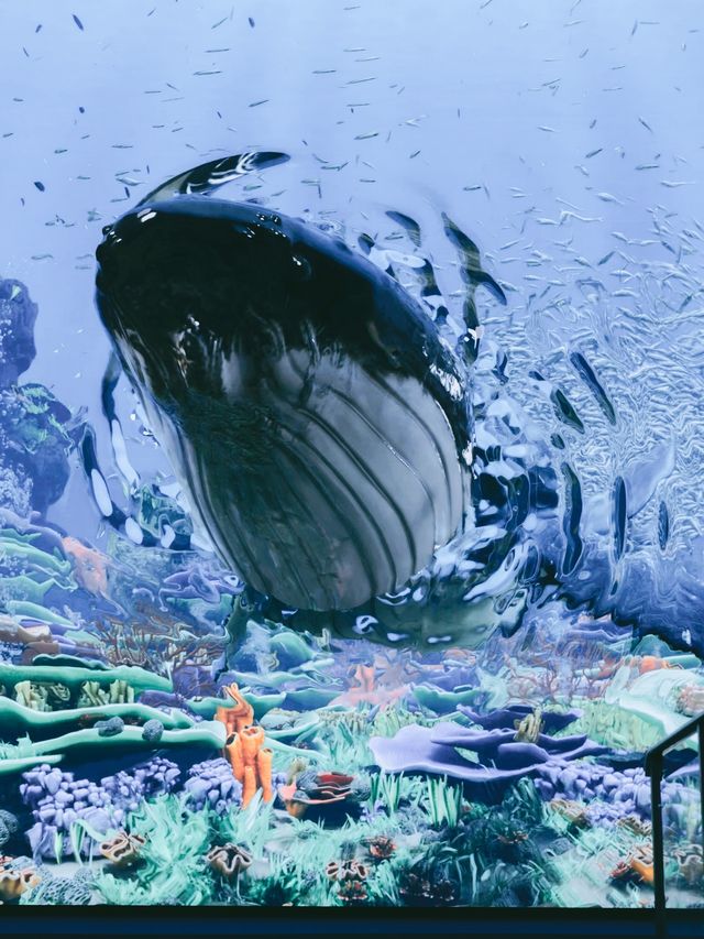 碼住！鄭州海昌遊玩拍照｜真實體驗攻略