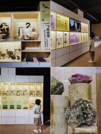 帶娃過暑假｜就在北京！好奇寶寶必逛的DK展