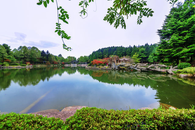 四明山莊避暑之旅：深度探索與愜意住宿。