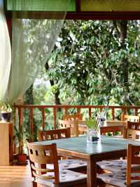 🌴 Langkawi's Lush Hideaway: Ambong Rainforest Retreat 🌟