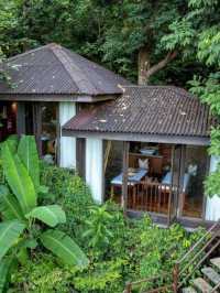 🌴 Langkawi's Lush Hideaway: Ambong Rainforest Retreat 🌟