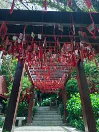 深圳鳳凰山全攻略，祈福徒步兩不誤，走起！