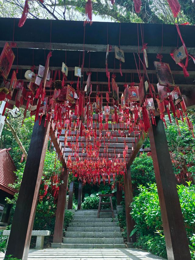 深圳鳳凰山全攻略，祈福徒步兩不誤，走起！