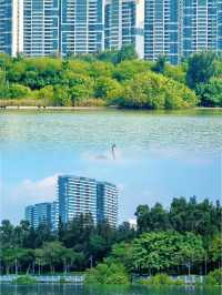 廈門寶藏之地 | 五緣灣濕地公園