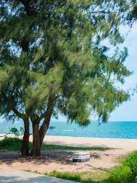 夏日夢中的果凍海，定屬於廈門黃厝環島路