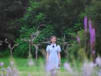 長春水文化生態園，一座城市裡的森林公園