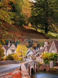 🍂 Collection of British autumn leaf viewing places