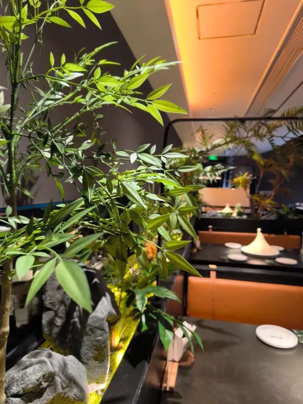 開來羅湖‼️一開業要排隊的節奏