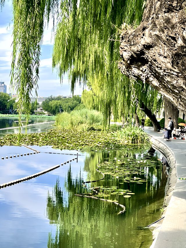 Citywalk 朴野自然 風景優美 西海濕地公園 Citywalk 朴野自然 風景優美 西海濕地公園